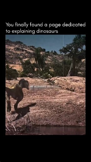 Teaching you everything about dinosaurs on Instagram: "Allosaurus bite force was built for damage, not crushing power. Unlike Tyrannosaurus rex, Allosaurus had a relatively weaker bite, estimated at around 3,500–5,000 newtons. This was modest for a large theropod, but its hunting strategy made up for it. Allosaurus had a wide-opening jaw, sharp serrated teeth, and strong neck muscles. Instead of clamping down and crushing bone, it used a hatchet-like biting motion—slashing flesh, causing deep wo