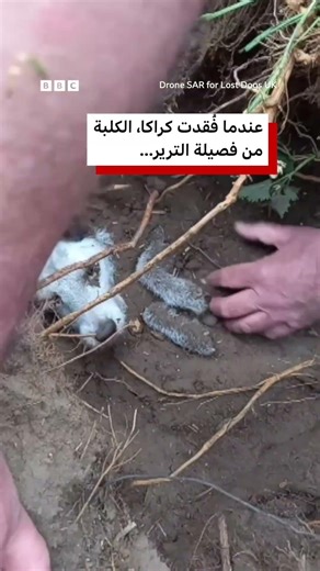 إنقاذ كلبة من جحر أرنب بعد أن علقت فيه لمدة يومين