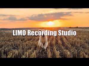 The Soundlings - I Don't Think So (No Copyright Music)