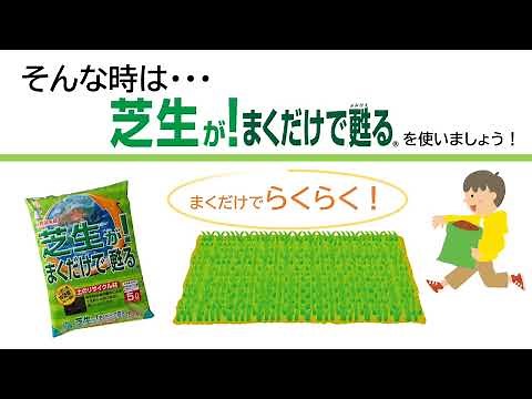 【自然応用科学】芝生が！まくだけで甦る