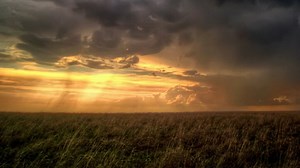 17K views · 302 reactions | Our meteorologist Jonathan How presents this week's weather forecast as aired today on ABC Landline. Our forecasts update daily, please visit www.bom.gov.au for current information | Bureau of Meteorology | Facebook