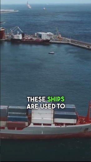 Transporting goods by cargo ships