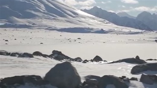 Arctic ice melt