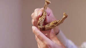 12K views · 197 reactions | Curious about the origins of humanity?...