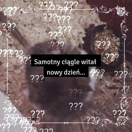 Nie wiem czy pasuje do zdjęć tą piosenka#wybijsie #chomiki