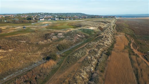 Coastal - Helen & Natterjack Toad