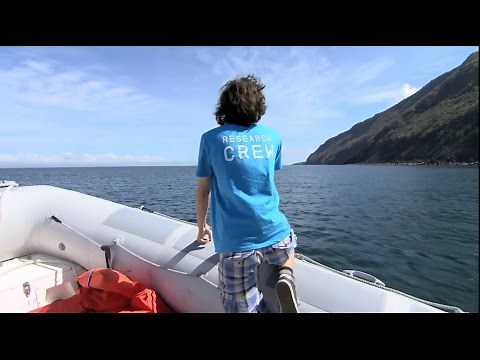 Can this project clean up millions of tons of ocean plastic?