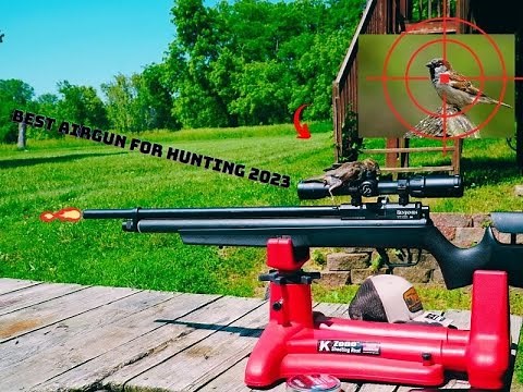 2023's Top Airgun Choice? The Benjamin Marauder .25 Cal