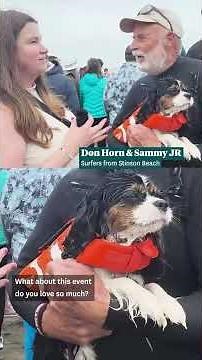 World Dog Surfing Championships | Surfing dogs in CA are the best thing you'll see today