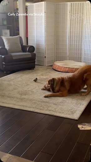 The cutest BFFs. 😍 | People