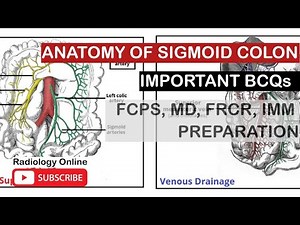 Sigmoid Colon anatomy | Sigmoid mesocolon anatomy | Radiology by Dr. Sam