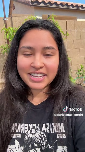 Plant Girl (@diariesofaplantgirl)’s videos with original sound - Plant Girl