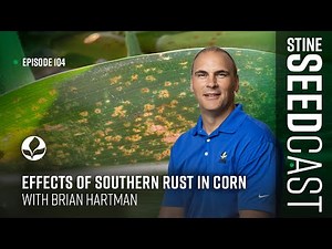 Effects of Southern Rust in Corn With Brian Hartman