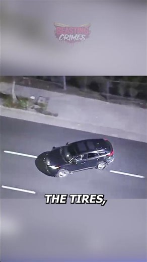 Are Stolen BMW Chases More Dangerous Than Regular Police Chases?