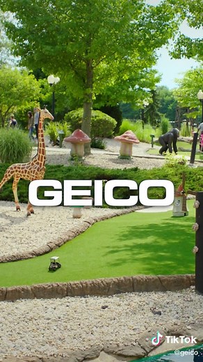 Fore! Go with #GEICO for your car insurance and they’ll tee you up for great savings. ⛳️ #golftiktok #golf @thegeicogecko #minigolf