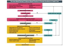 Building an Evidence Base for Nursing Practice