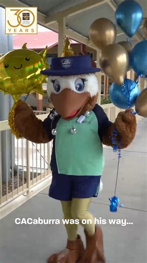 No more lonely days for CACaburra because school is back!! 🎉 Today, CACaburra was out and about in the Primary Campus, checking in with our students and hearing all about the ways they’ve been great humans over the school holidays. A BIG thank you to 1C and 5A for welcoming us into your classrooms and sharing your stories… we loved visiting! 💛 | Coomera Anglican College