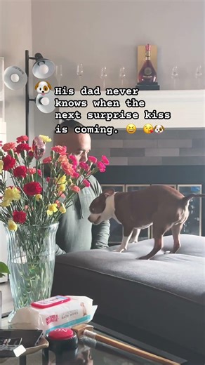 His dad never knows when the next surprise kiss is coming. #dog #shortvideo #viral #cutedog