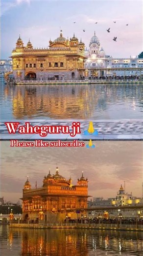 Golden Temple Amritsar Punjab | Golden temple status