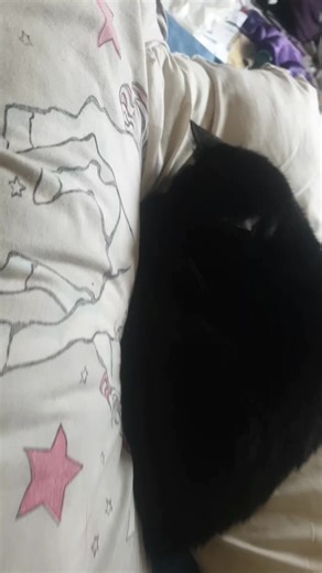 Jessica and roblox on TikTok