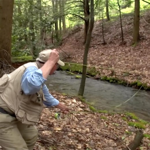 Video: Mastering Small Stream Fly Fishing with Joe Humphreys | MidCurrent