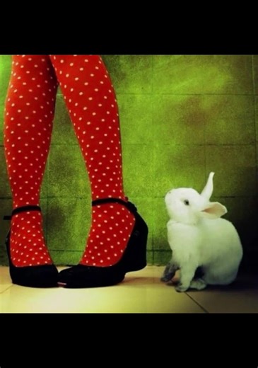 Bring Back Colourful Tights: A Fashion Trend Revival