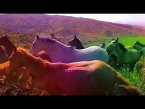 My Little Pony Friendship is Magic - The Live Action Series Promo