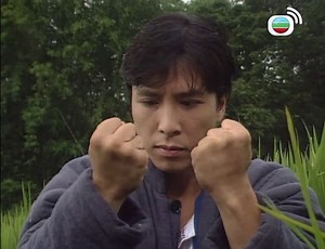 ''Chen Zhen (Donnie Yen) & his younger sister Siu-yin's (Renee Dai) intro from Fist of Fury series (1995).'' #DonnieYen #ReneeDai #FistofFury #PopularShows #MartialArtsSeries #KungFu #Legend | Divyarup RoyChowdhury