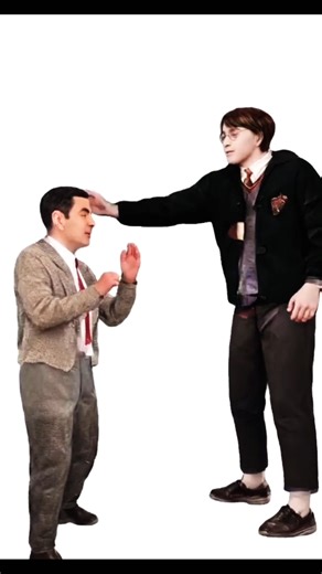 Harry Potter vs. Mr Bean