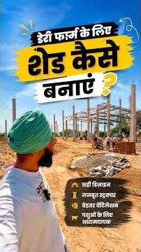 How to make new shed for dairy farm ? डेरी फ़ार्म के लिए शेड कैसे बनाये? Veer Dairy Farm -vlog