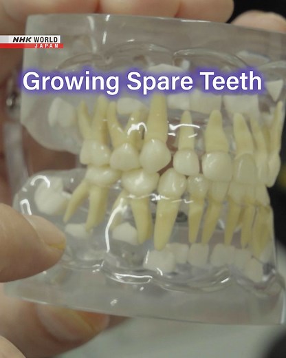 What if humans could grow spare teeth? https://www3.nhk.or.jp/nhkworld/en/shows/2015338/ Science View Ant Talk: Communicating Through Sound | NHK WORLD-JAPAN