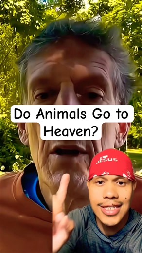 Does God Allow Animals in Heaven? ✝️ #god #jesus #religion #christian #animals #dog #cat