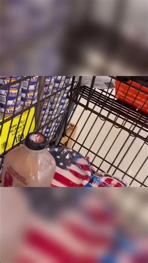 Local Dairy's Chocolate Milk: A Phenomenal Treat for Kids! 🥛🍫