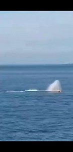 Russia destroyed Ukraine's Simferopol reconnaissance ship using a sea drone #Simferopol #SeaDroneStrike #NavalDrone #UkraineWar #RussiaUkraineWar #UnmannedWarfare #BlackSeaConflict #MilitaryNews #BreakingNews #MaritimeWarfare | Indian Defence News Site