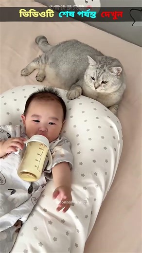Cat claims to be mother! 🐱#shorts #viral #fyp