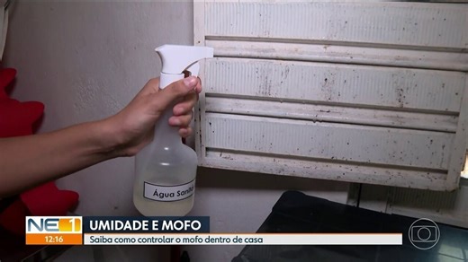 Entenda como surge o mofo e saiba como combater o problema em casa