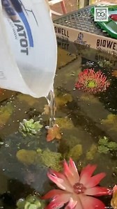 36K views · 167 reactions | Building an epic corn hole board #CornHole #builders #DIY #OutdoorGames | Designs by Donnie | Facebook