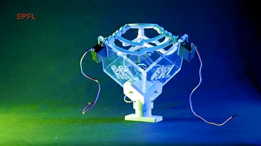 The team at Professor Jamie Paik's RRL design, actuate and build unique interactive robotic systems with novel fabrication techniques and integration processes that push the limits of mechanical properties. Their soft, reconfigurable, and interactive robots are highly conscious of their environment and have extensive applications in wearable technology, medical & rehabilitation systems, and personal robots. Video credit: EPFL #robotics #technology #engineering #innovation #robot | Wevolver.com