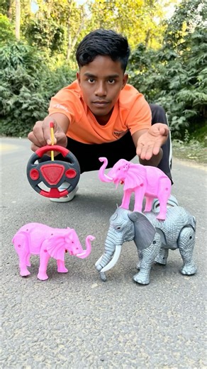 2 Ta Small Elephant And Rc Big Elephant 🐘 Unboxing Deko 😱