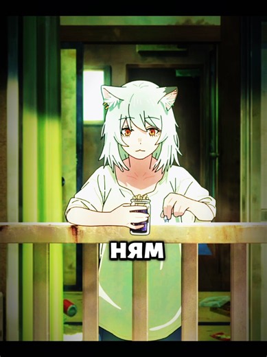 КОШКО ДЕВОЧКА НАТВОРИЛА ДЕЛ КОНЕЧНО #аниме #анимемомент #anime #аниметоп