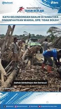 Warga Ambil Kayu Gelondongan Sisa Banjir Bernilai Ekonomis, DPR Angkat Bicara