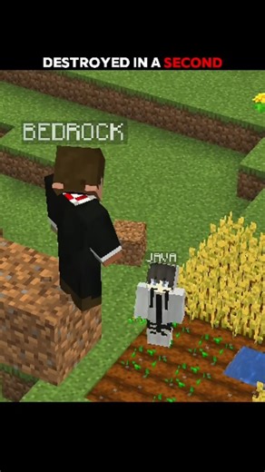 Eagle Head Yt on Instagram: "BEDROCK VS JAVA . . . #mhacommunity #gaming #minecraft #bedrockvsjava #trending"