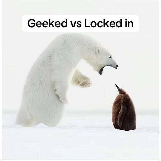 Geeked vs Locked In: Funny Memes and Moments