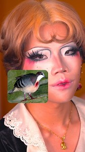 Freddie ⋆˙⟡ 🌻 on Instagram: "bird makeup tutorial squah squahh 💄makeup (linked in bio) @hapakristin • contact lenses @thatgirlthatdidyourhair • hair clips @blendbunnycosmetics FREDUSSY for $ off • @robertwlsh divination palette • @ellis_atlantis powder blush palette @rephr.to • eye brushes @makeupforever • HD Skin white setting powder @lagirlcosmetics • pro conceal HD Concealer - white @milkmakeup • cream contour stick @trixiecosmetics • play pigment - player one (white) @aboutfacebeauty • fla