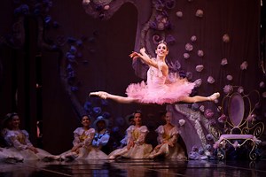 45K views · 2.3K reactions | ✨Classical Ballet and Opera House...