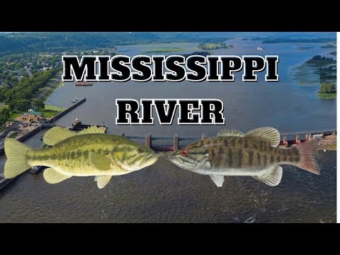 Early Fall Upper Mississippi River Fishing