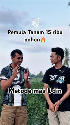 Pemula tanam 15 ribu pohon metode mas Udin #metodemasudin #petanicabe #petanimilenial