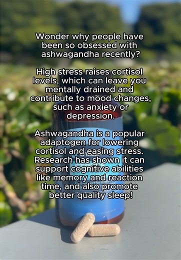 Stress Release's Sensoril is ashwagandha but better 😇