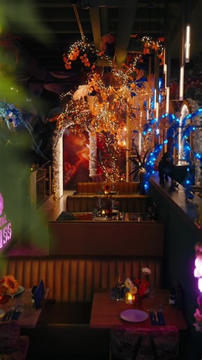 Enjoy the magical vibes in Den Haag #denhaag #fyp #resraurant #prinsestraat #byami