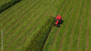 Tractor mows green grass to dry hay for livestock feeding. Haymaking with tractor mower in meadow pasture. Work in agronomic farm for making business and production organic eco bio animal feed